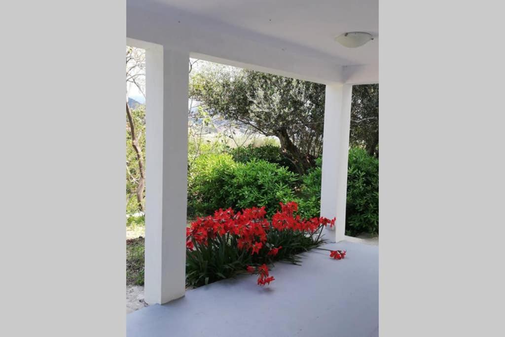 Ribaric Villa Banjol Екстериор снимка