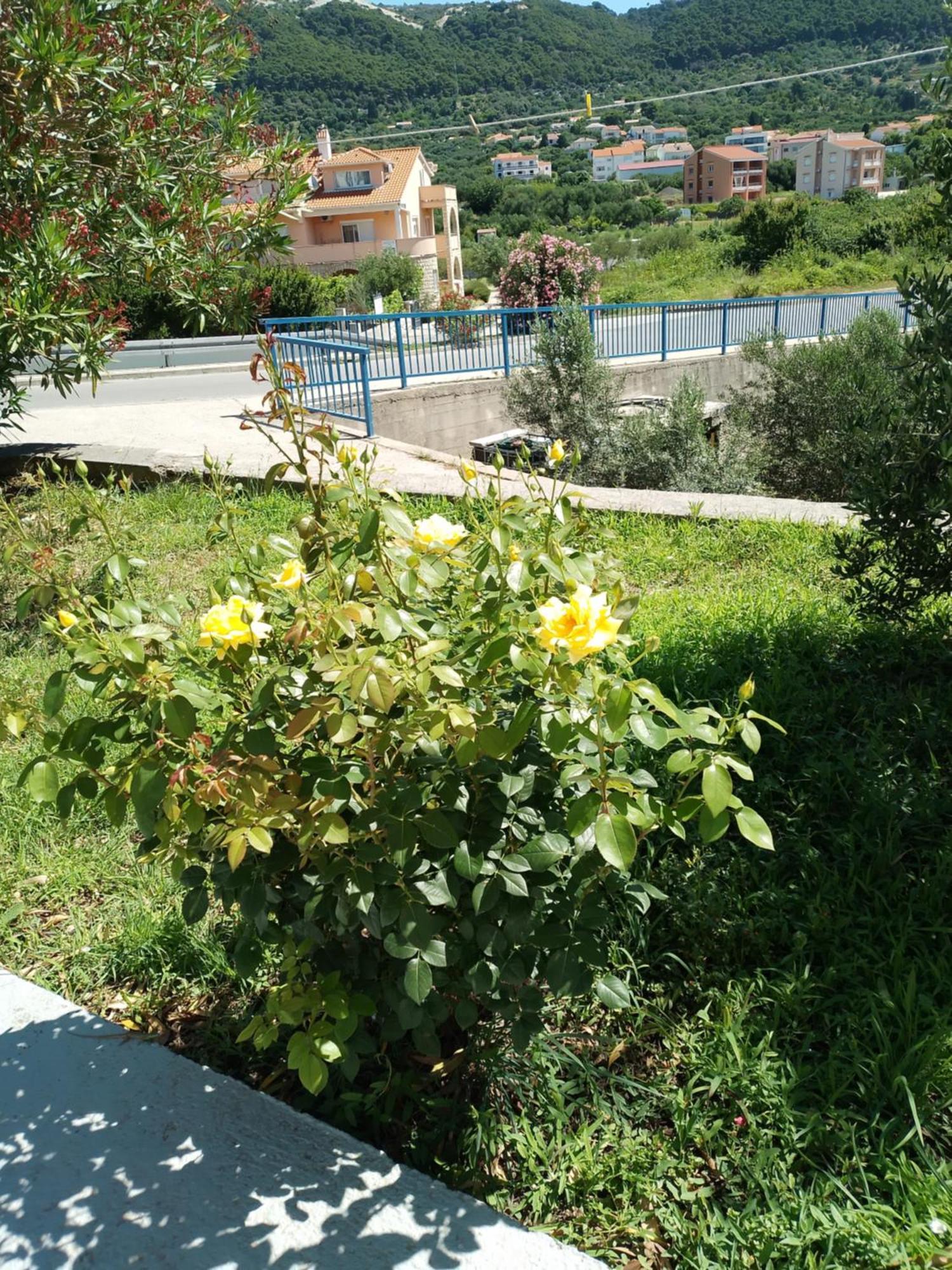 Ribaric Villa Banjol Екстериор снимка